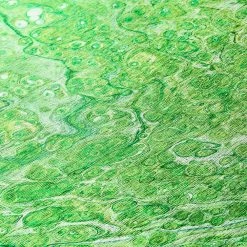 Copeland Lime 1 ft. 8 in. x 2 ft. 6 in. Abstract Accent Rug by Addison Rugs -Cozy Floor Style lime addison rugs area rugs hdkc5lm20x30 fa 1000 1