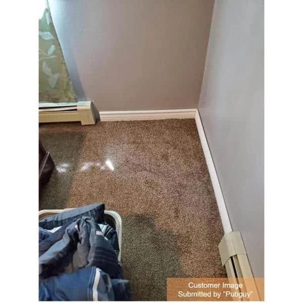 Field Day Brown Residential 18 in. x 18 Peel and Stick Carpet Tile (10 Tiles/Case) 22.50 sq. ft. by TrafficMaster 10 Field Day Brown Residential 18 in. x 18 Peel and Stick Carpet Tile (10 Tiles/Case) 22.50 sq. ft. by TrafficMaster - Image 8