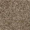 Hartsfield - Color Skypoint Indoor 12 ft. Texture Beige Carpet (1080 sq. ft./Roll) by TrafficMaster -Cozy Floor Style skypoint trafficmaster roll carpet h2022 1815 1200 64 1000