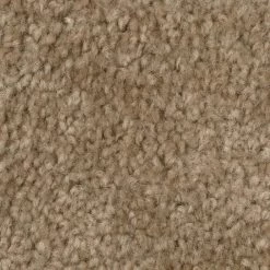 Hot Shot II - Color Tuscan Indoor 12 ft. Texture Beige Carpet by TrafficMaster -Cozy Floor Style tuscan trafficmaster cut to length h2004 402 1200 ab 76 1000