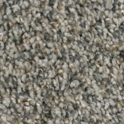 Prancer - Color Woodland Indoor 12 ft. Texture Beige Carpet (1080 sq. ft./Roll) by TrafficMaster -Cozy Floor Style woodland trafficmaster roll carpet h2036 267 1200 d4 1000